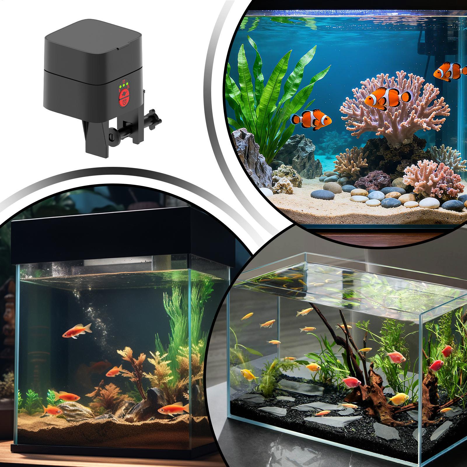 Aquarium Fish Auto Feeder - Automatic Fish Feeders Automatic Rechargeable Small