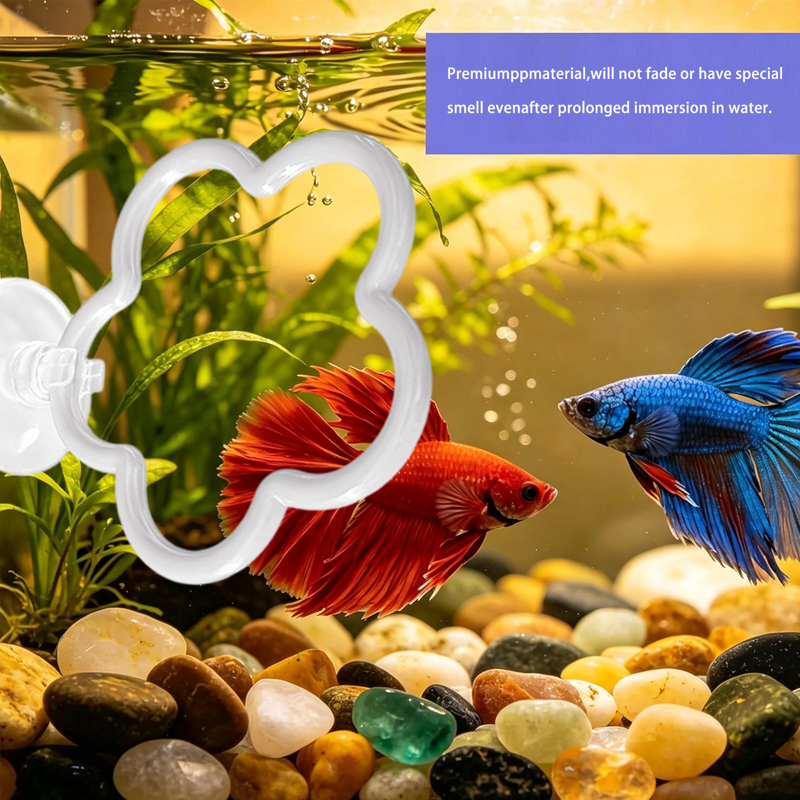 Aquarium Fish Betta - Betta Toys For Aquarium 5 Pieces