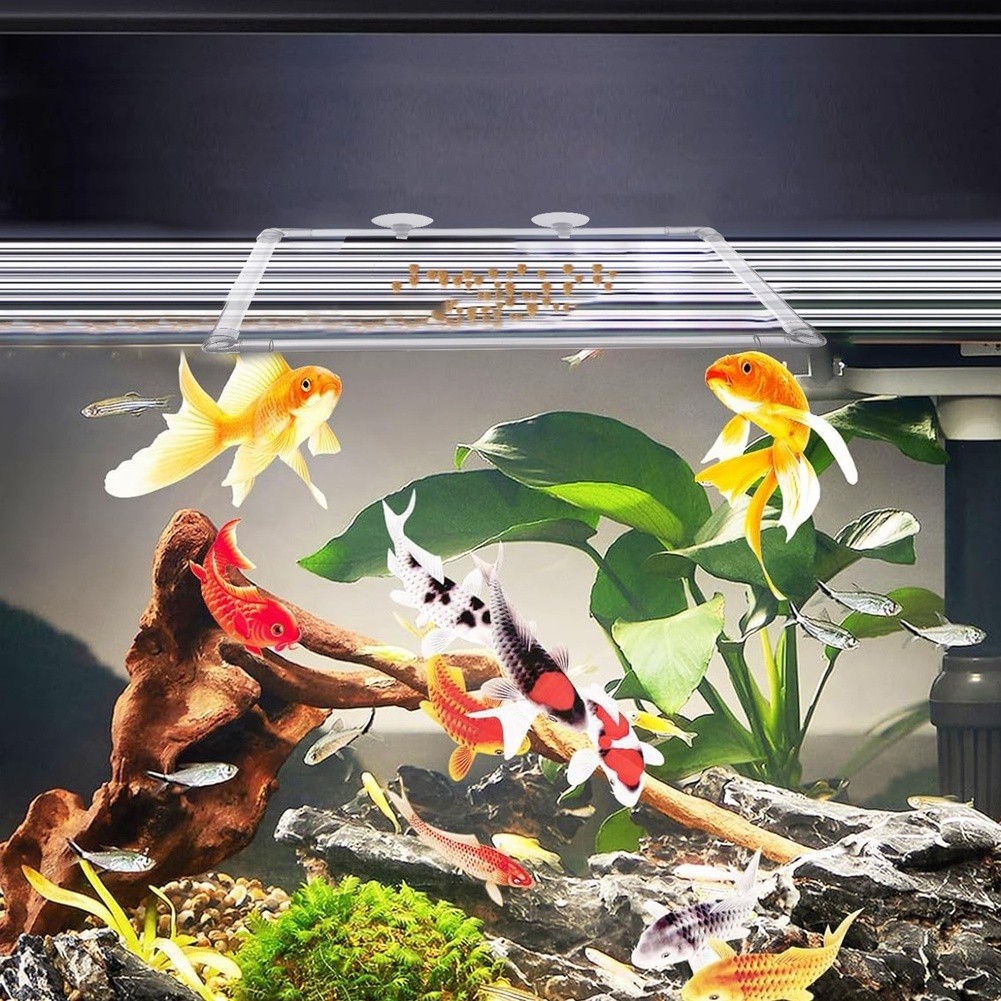Aquarium Fish Zone - Aquarium Floating Plant Corral for Acrylic