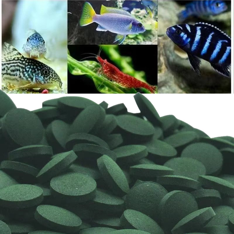 Aquarium Fish Holiday Food - 50/100/300/500pcs Spirulina Tablets Spiral Seaweed Concentrate
