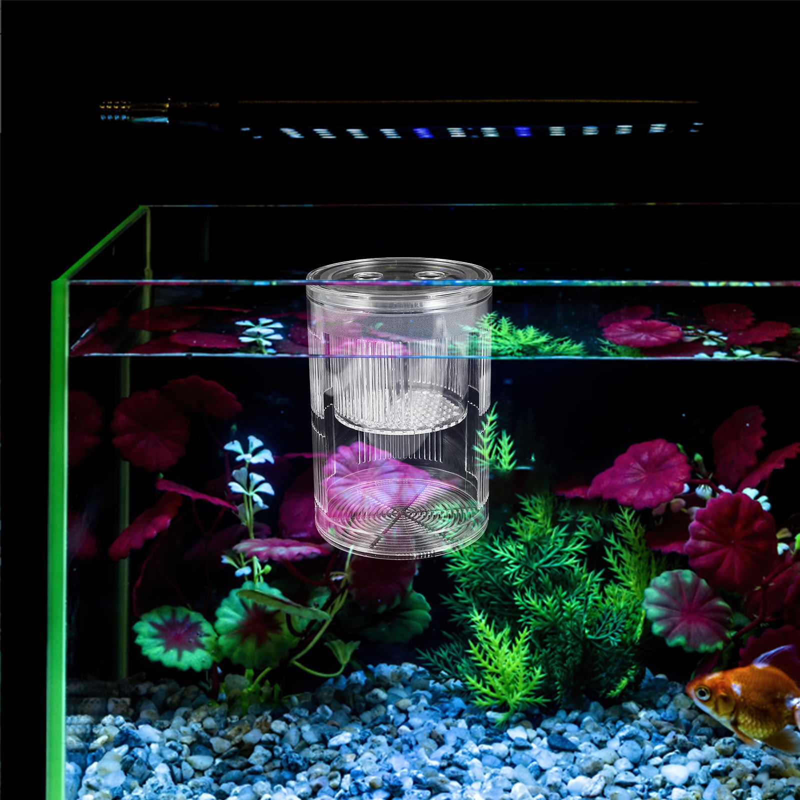 Aquarium Fish Betta - Fish Hatchery Acrylic Breeding Box Floating