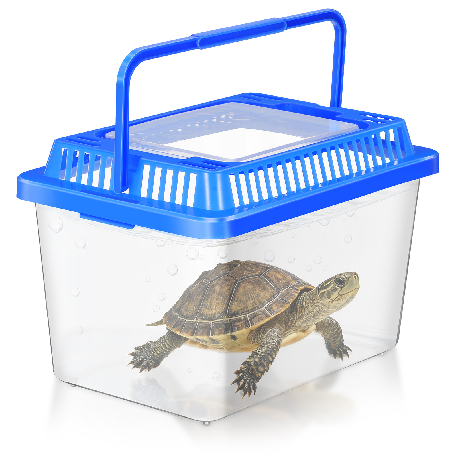 Aquarium Fish Betta - Mini Portable Fish Tank Transparent Plastic