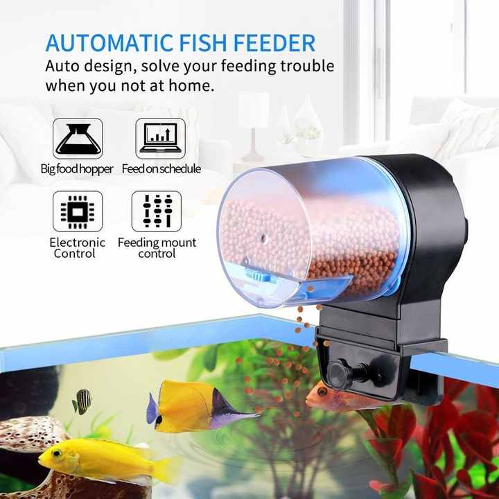Aquarium Fish Holiday Food - Stock Car Aquarium Fish Feeder App