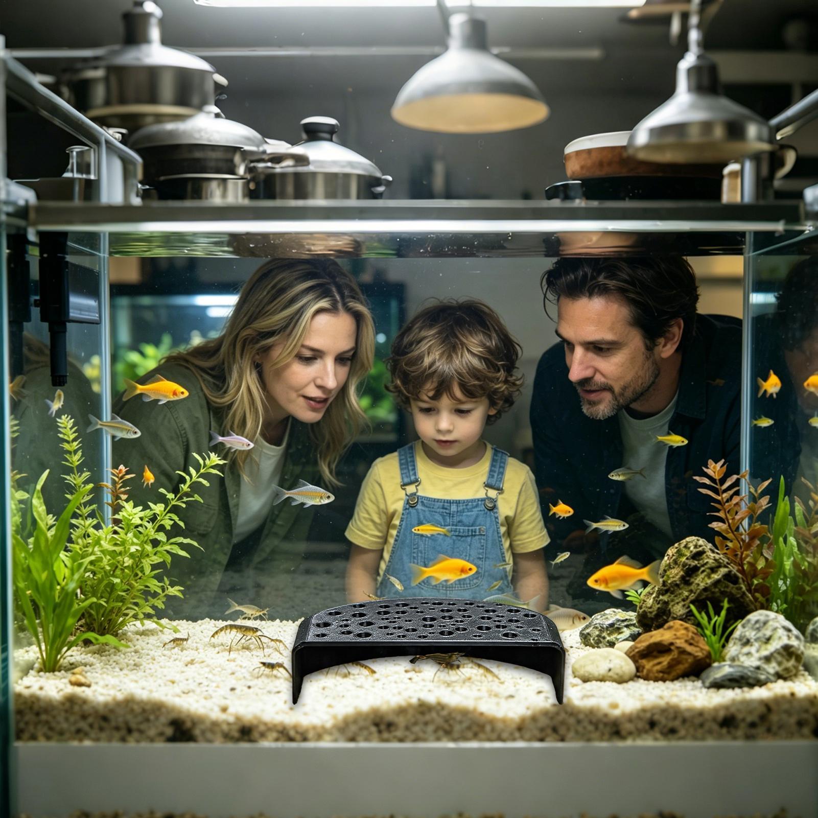 Aquatic Pet Rest Ornament Mult - Aquarium Fish Zone review and price