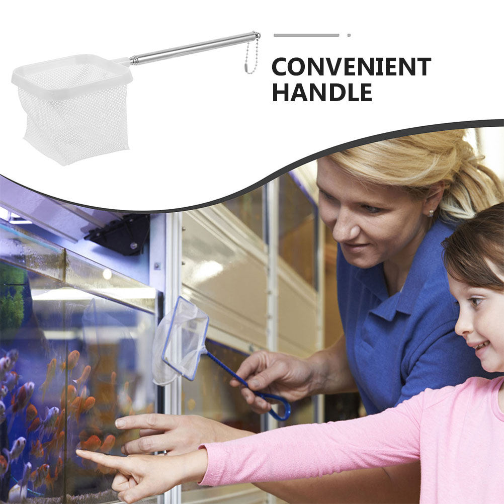 2Pcs Stainless Steel Fish Tank - Aquarium Fish Betta review and price
