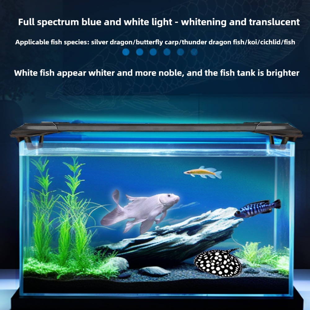 Aquarium LED Light Bar 2ft/3ft - Aquarium Fish Parrot review and price