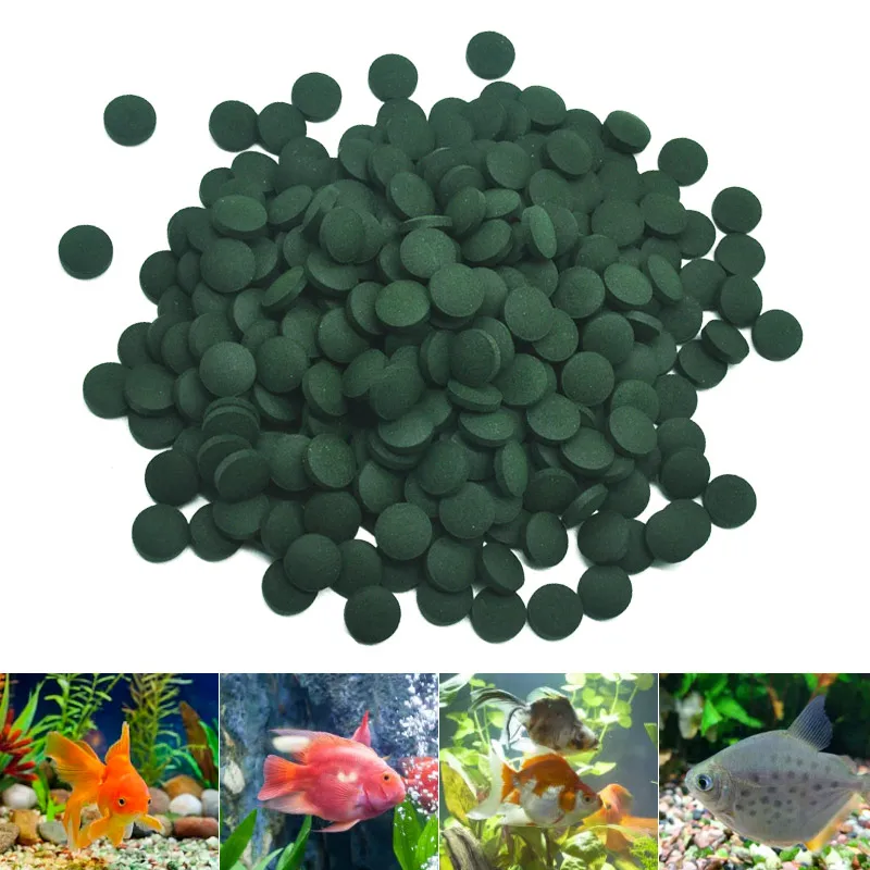 100pcs High Purity Spirulina T - Aquarium Fish Holiday Food review and price