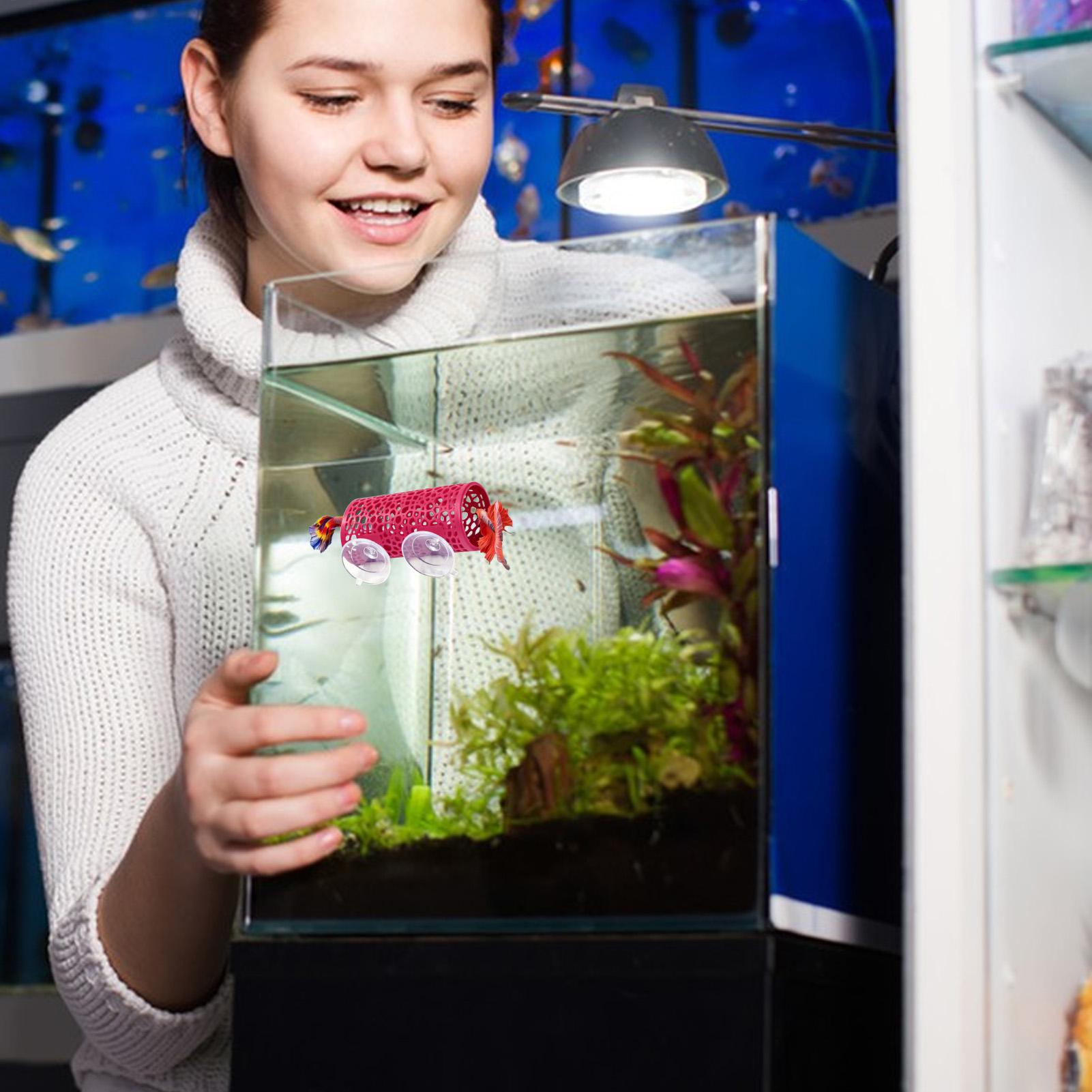Betta Habitat Resting Shelter  - Aquarium Fish Betta review and price