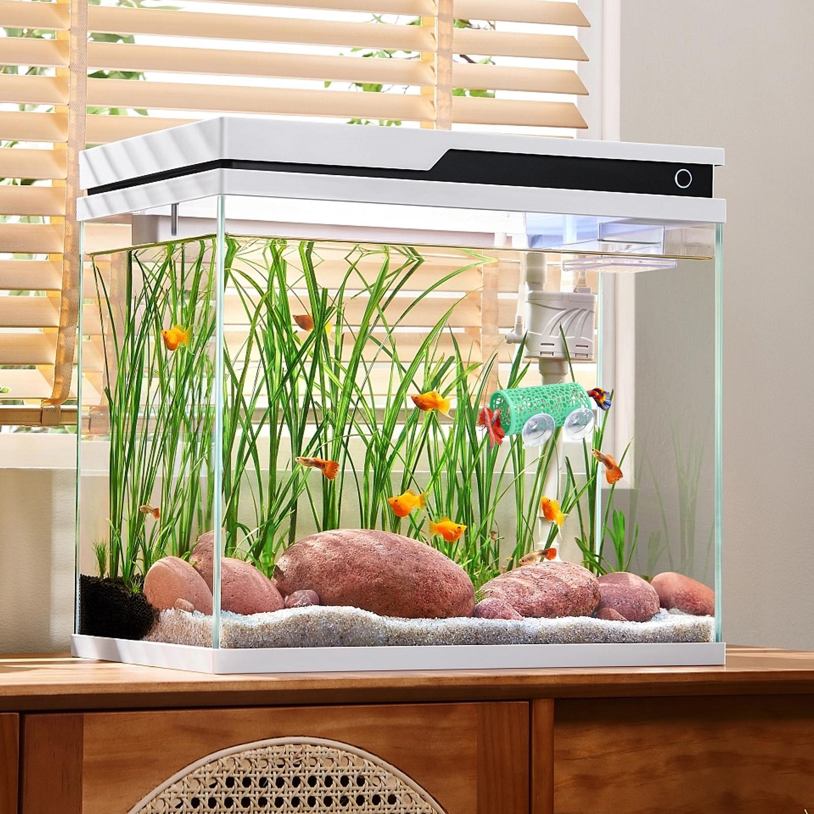 Betta Habitat Resting Shelter  - Aquarium Fish Betta review and price