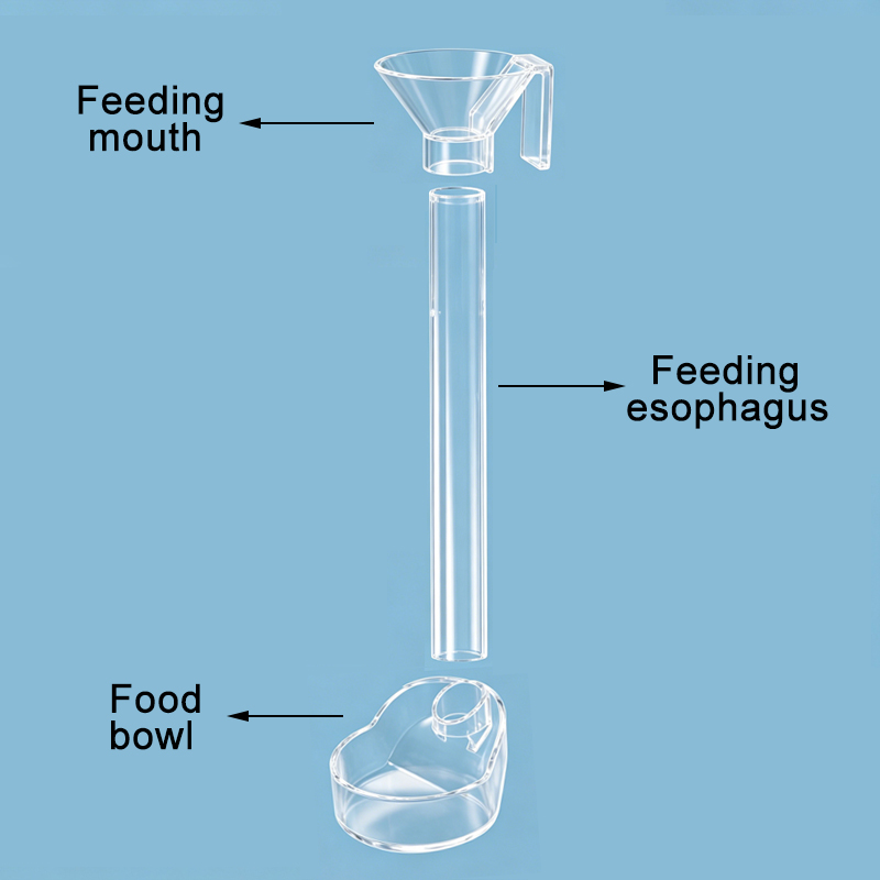 Acrylic Aquarium Fish Feeder T - Aquarium Fish Holiday Food review and price
