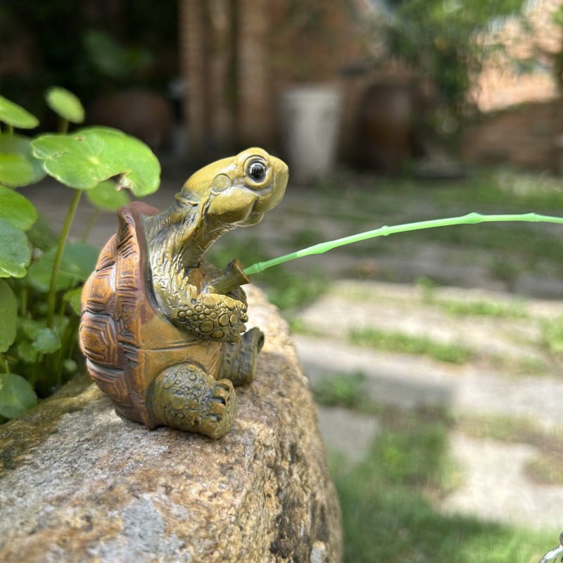 Turtle fishing fish tank aquar - Aquarium Fish Breeding review and price