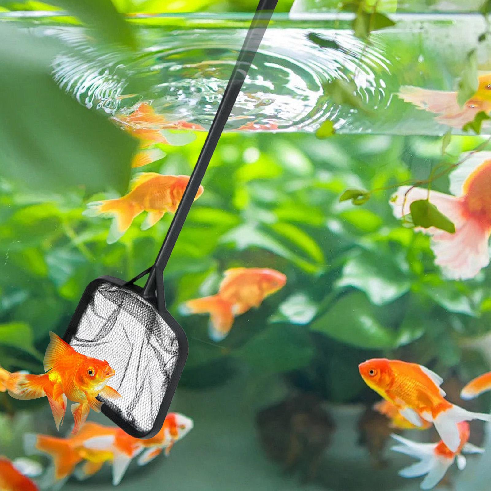 Pool Nets for Cleaning Portabl - Aquarium Fish Breeding review and price