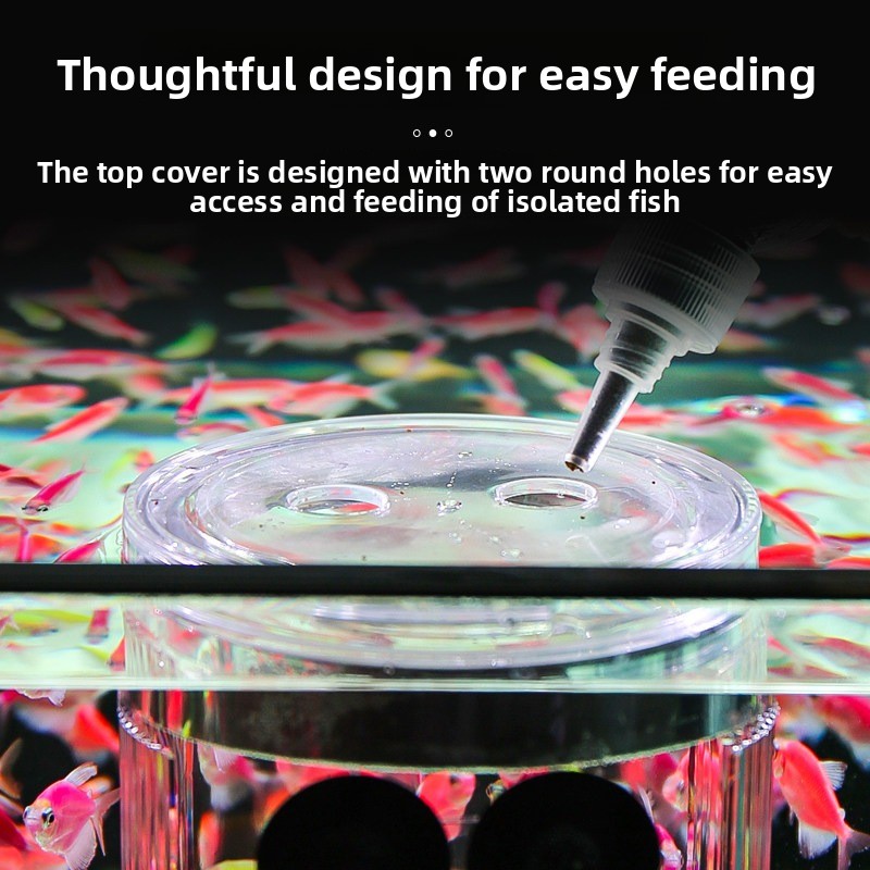 Acrylic Breeding Box Aquarium  - Aquarium Fish Parrot review and price