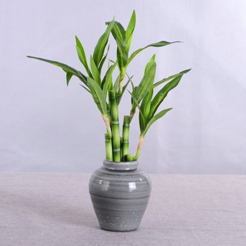 New 40cm rFtificial Lucky Bamb - Aquarium Fish Fishing review and price