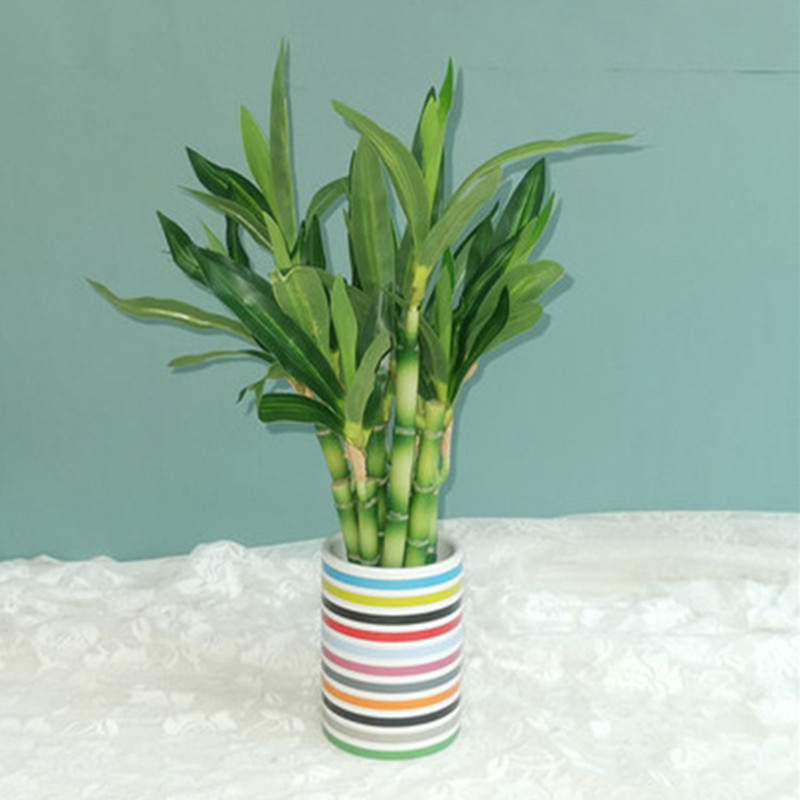 New 40cm rFtificial Lucky Bamb - Aquarium Fish Fishing review and price