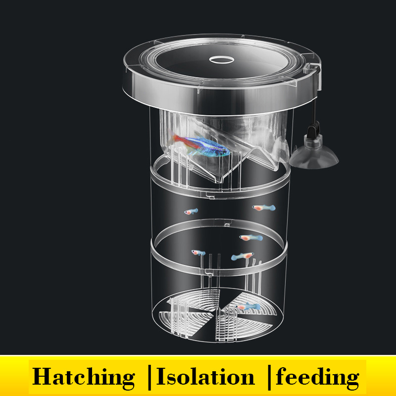 Floating Fish Breeding Isolati - Aquarium Fish Betta review and price
