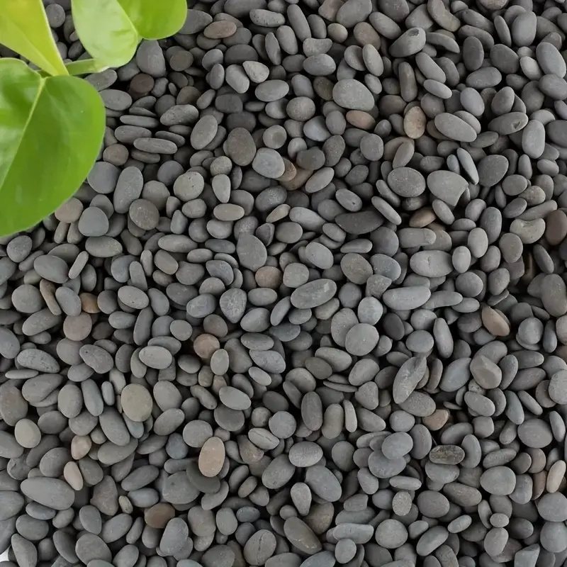 20Pcs Natural River Rocks Smoo - Aquarium Fish Fishing review and price