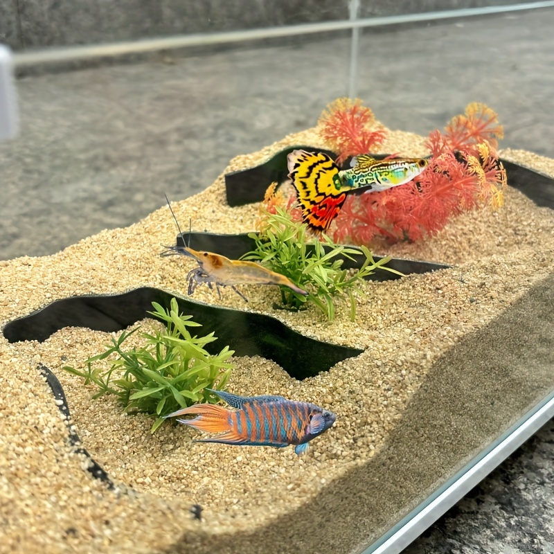 3-piece aquarium isolation wal - Aquarium Fish Zone review and price