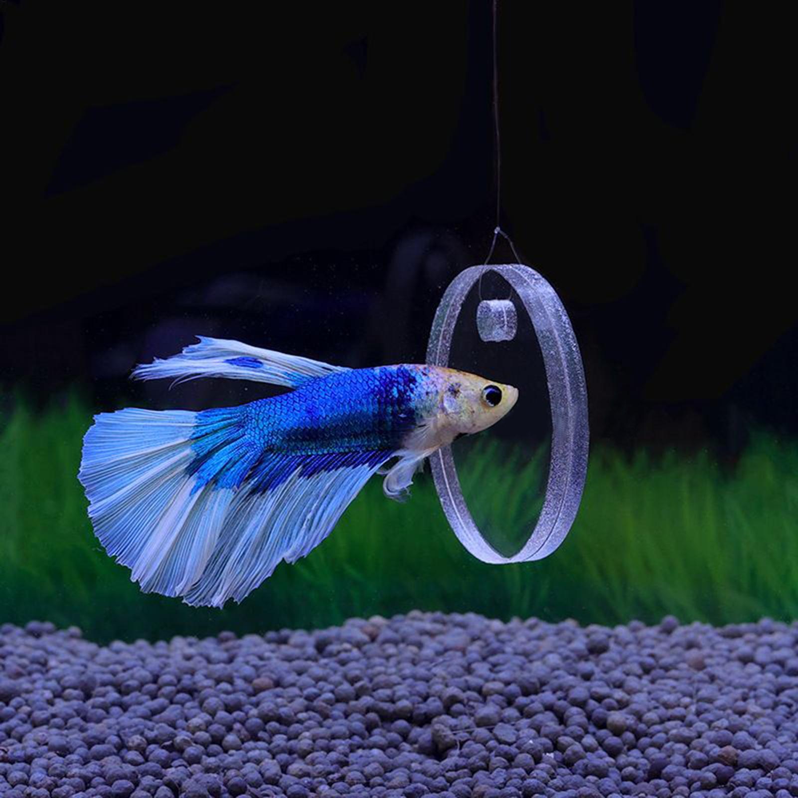 2Pcs Floating Feeding Ring Wit - Aquarium Fish Betta review and price