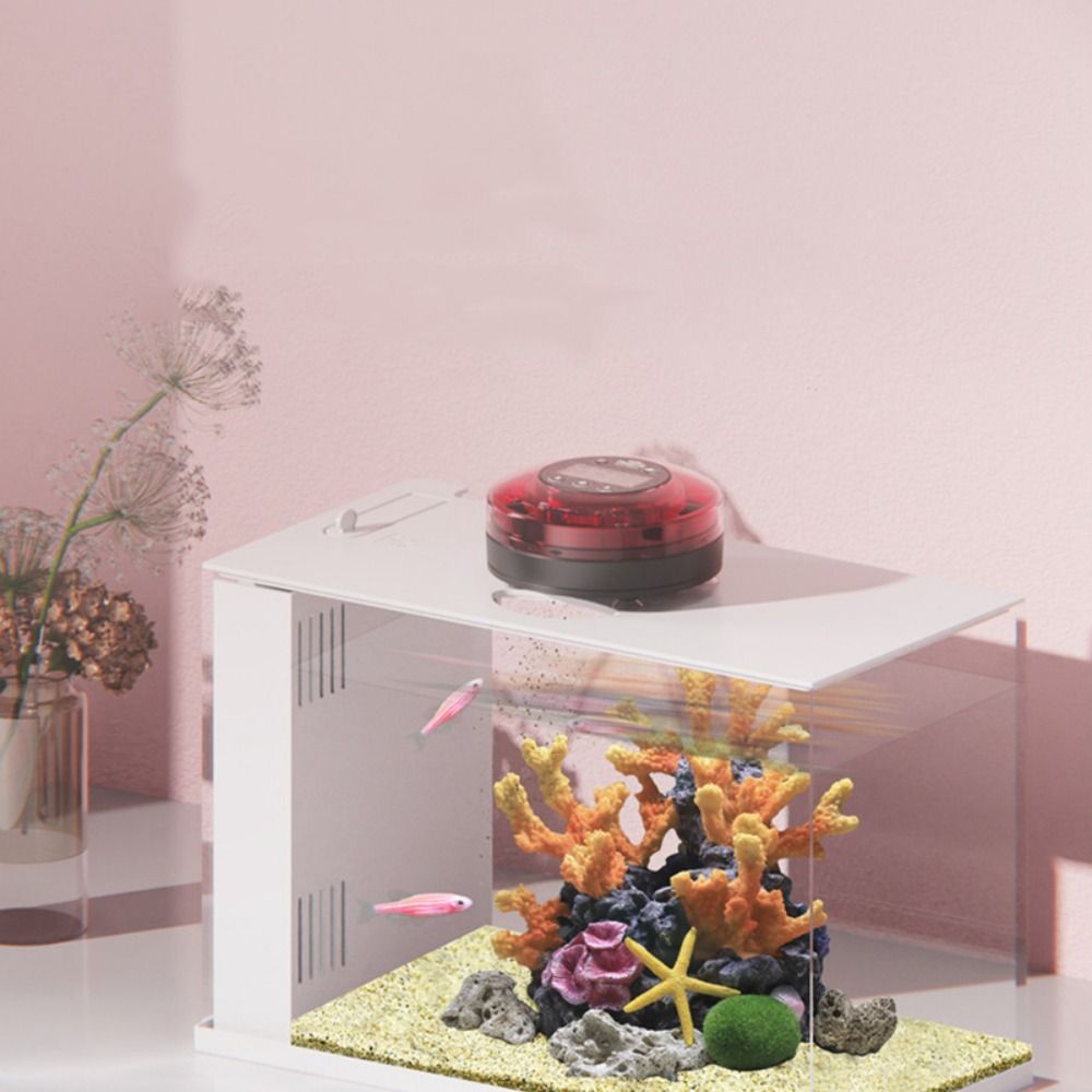 with Timer Fish Auto Feeder Re - Aquarium Fish Auto Feeder review and price