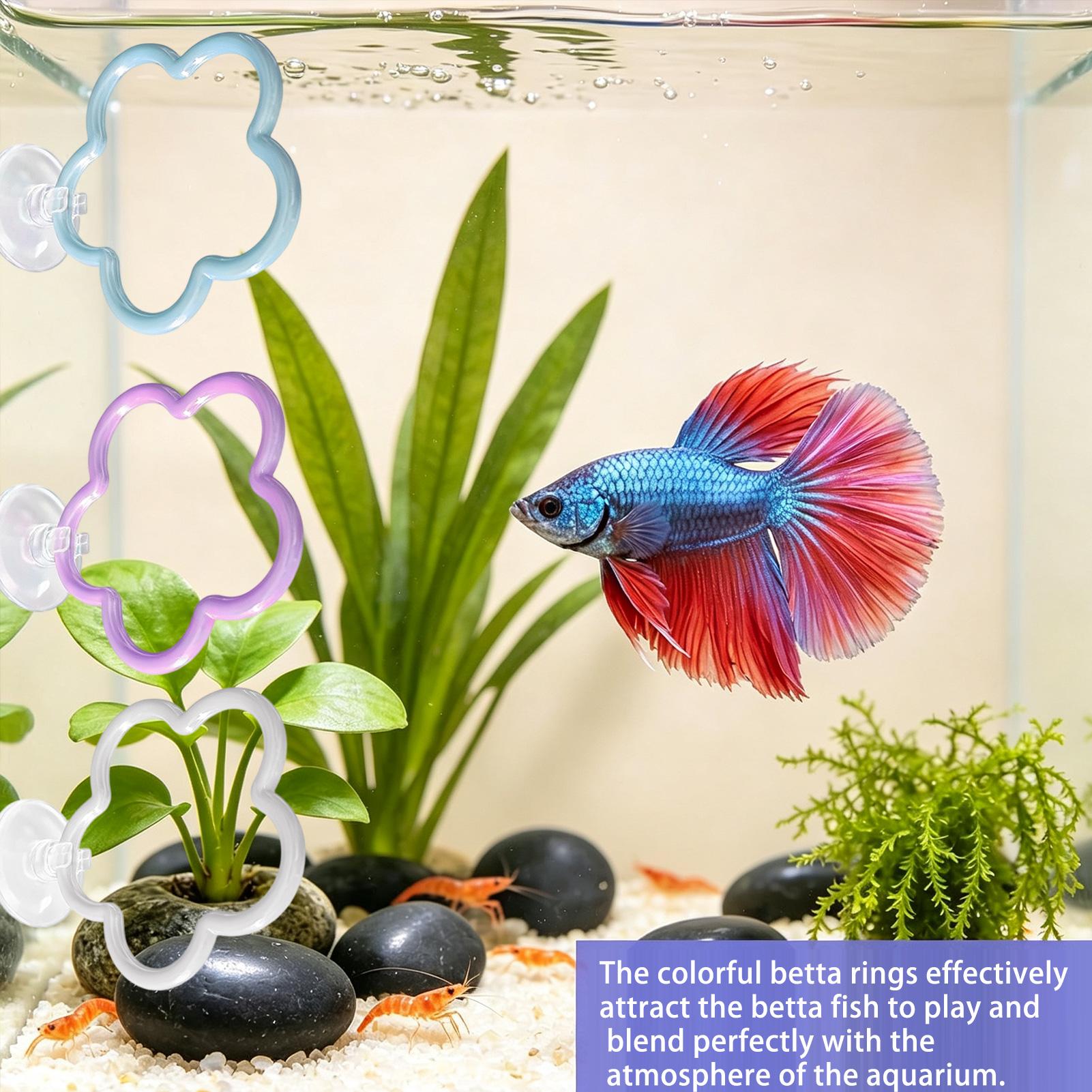 Betta Toys For Aquarium 5 Piec - Aquarium Fish Betta review and price