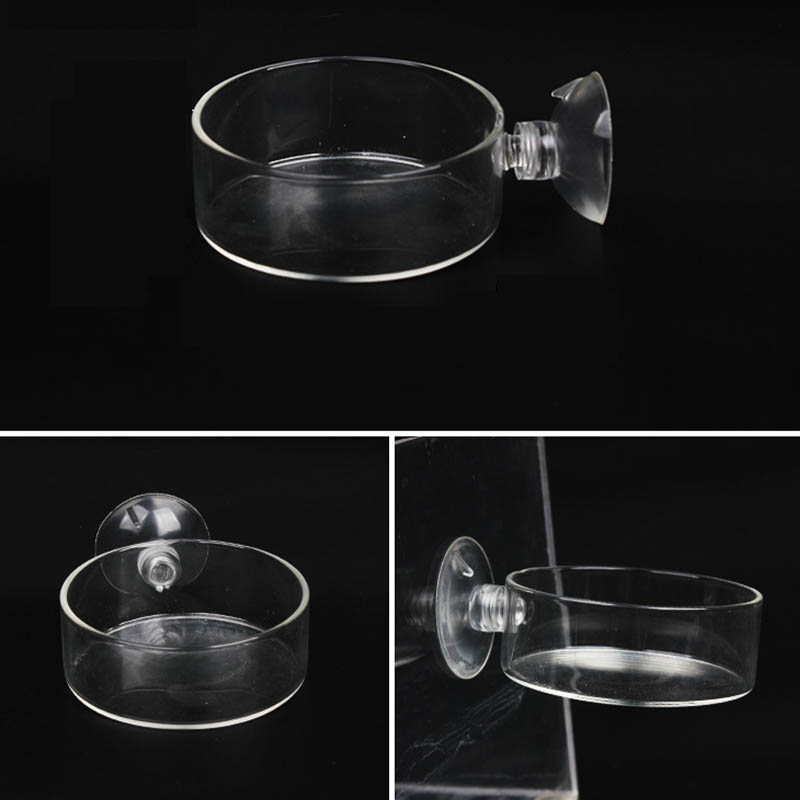 Transparent Acrylic Transparen - Aquarium Fish Holiday Food review and price