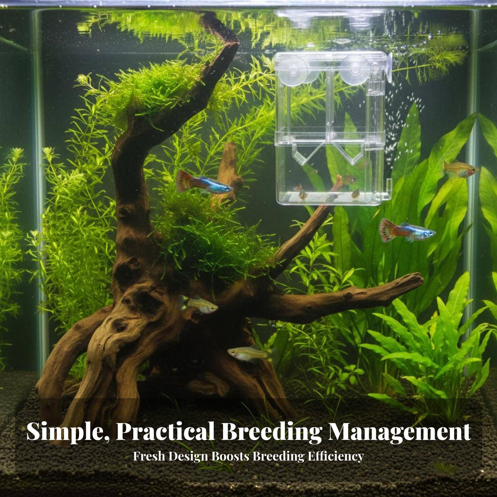 Double Layer Aquarium Breeding - Aquarium Fish Breeding review and price