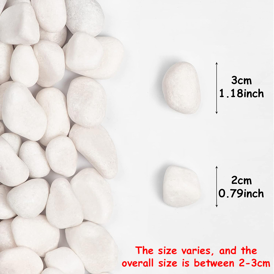 200/400g White High Polished N - Aquarium Fish Fishing review and price