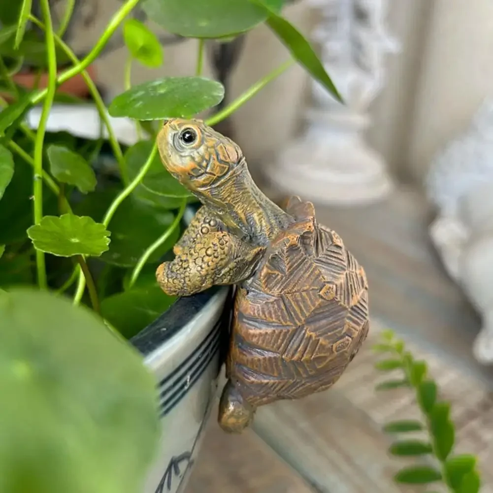 Fishing Turtle Hanging Turtle  - Aquarium Fish Fishing review and price