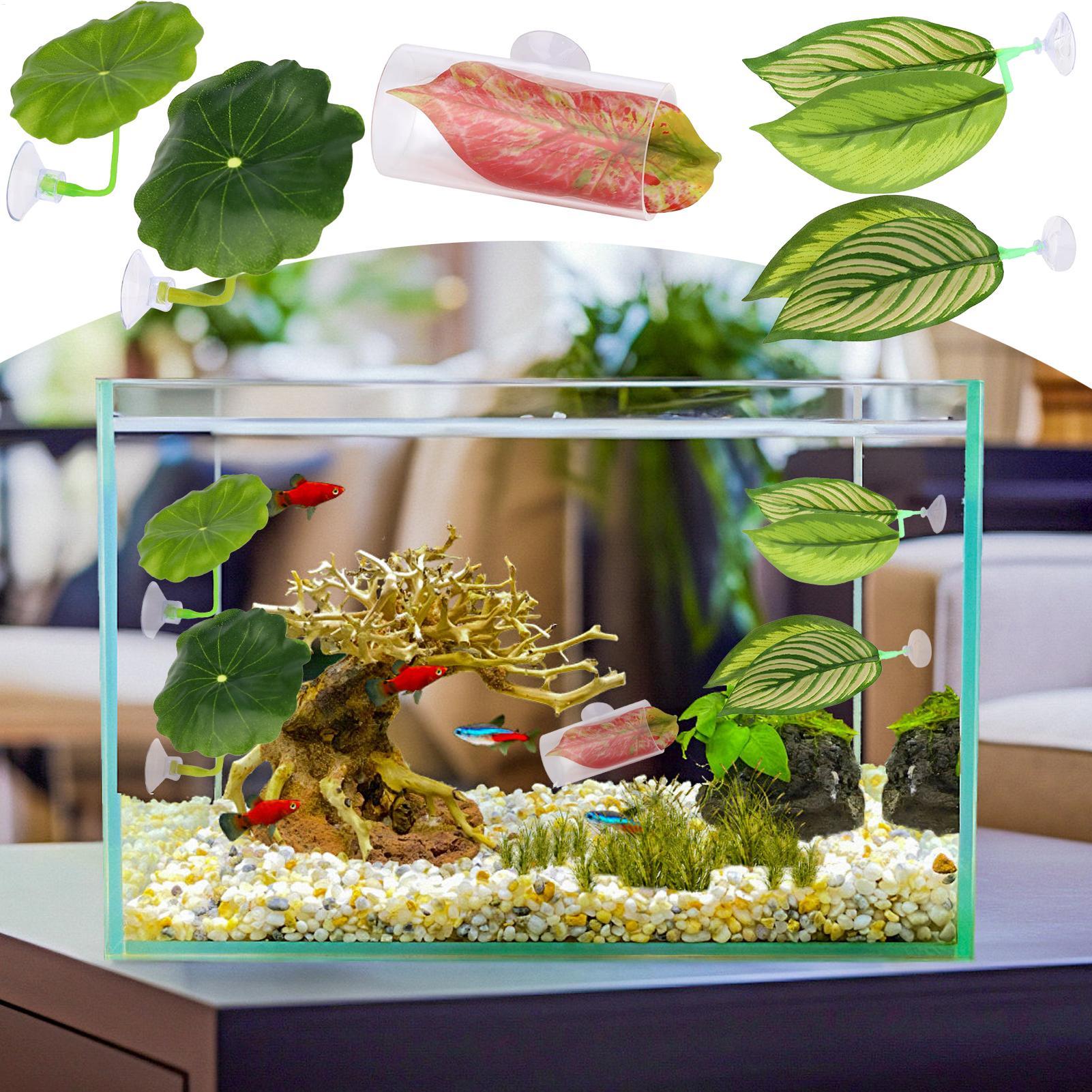 Betta Fish Hammock 5 Pieces Ad - Aquarium Fish Betta review and price