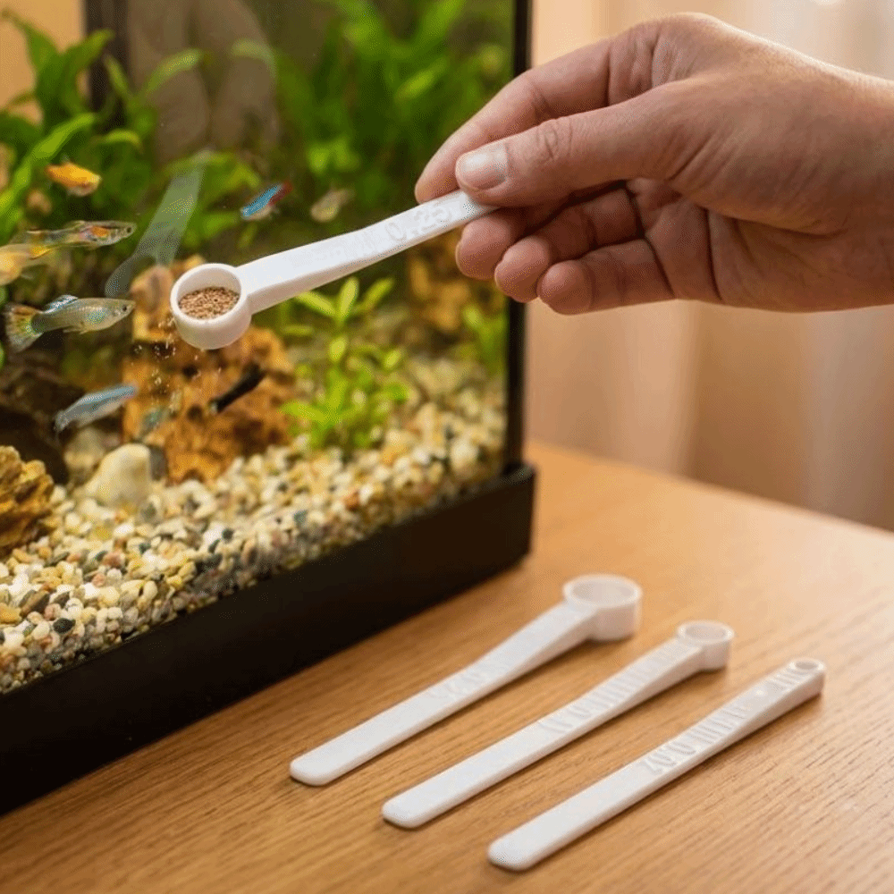 3Pcs Multi-size Fish Food Meas - Aquarium Fish Holiday Food review and price