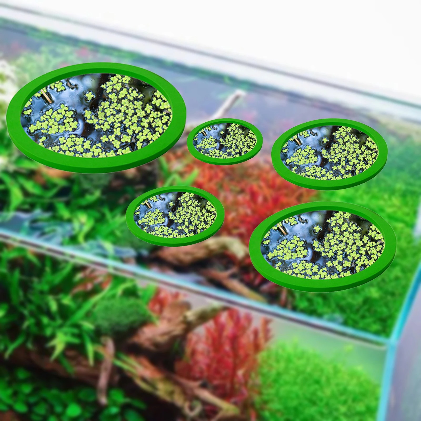 5Pcs EVA Fish Feeding Ring Aqu - Aquarium Fish Breeding review and price