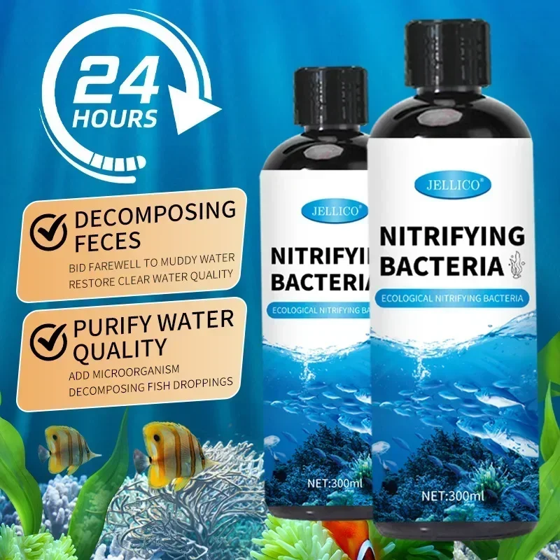 300ml Nitrifying Bacteria Liqu - Aquarium Fish Breeding review and price