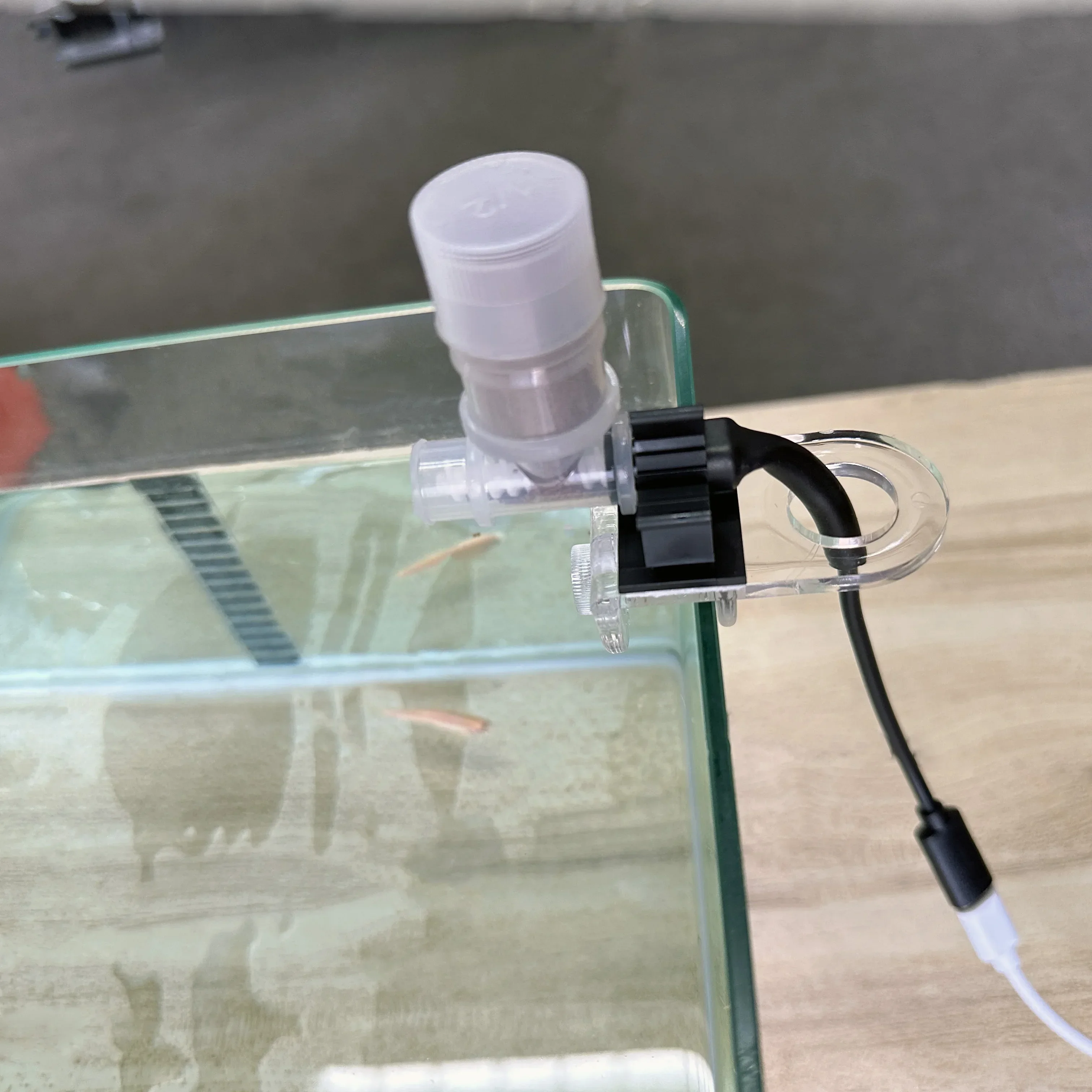 Best Automatic Fish Feeder - W - Aquarium Fish Auto Feeder review and price