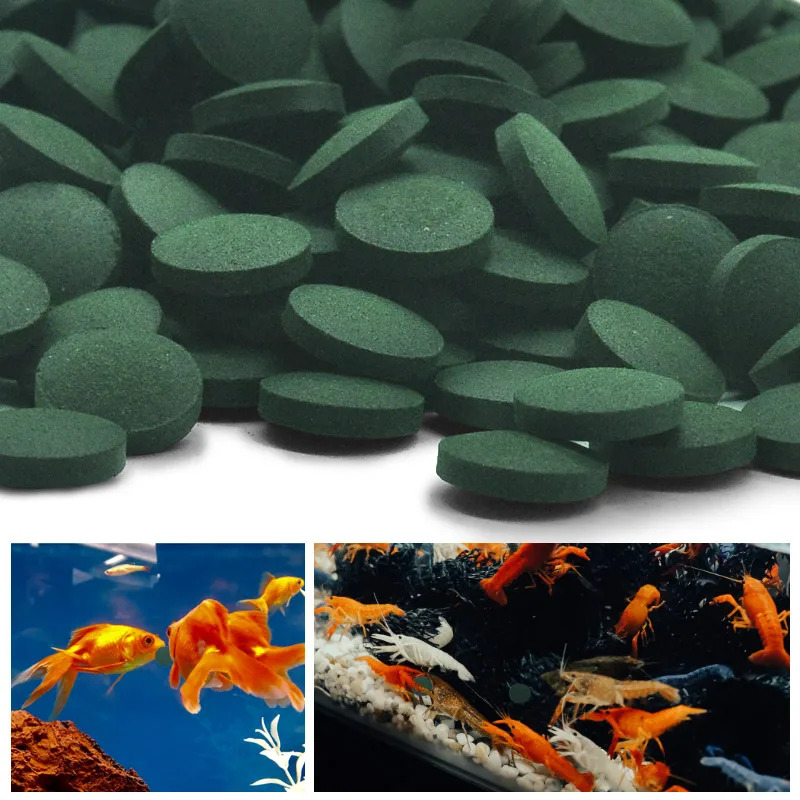 50-300Pcs High Purity Spirulin - Aquarium Fish Holiday Food review and price