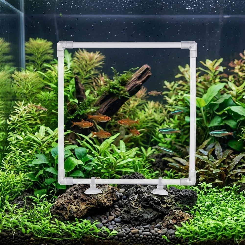 Aquarium Floating Plant Corral - Aquarium Fish Zone review and price