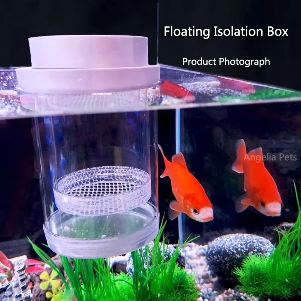 Plastic Floating Fish Breeding - Aquarium Fish Auto Feeder review and price