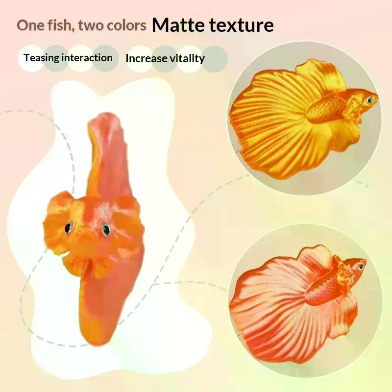 Colorful Aquarium Betta Traini - Aquarium Fish Betta review and price