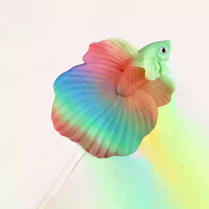 Colorful Aquarium Betta Traini - Aquarium Fish Betta review and price