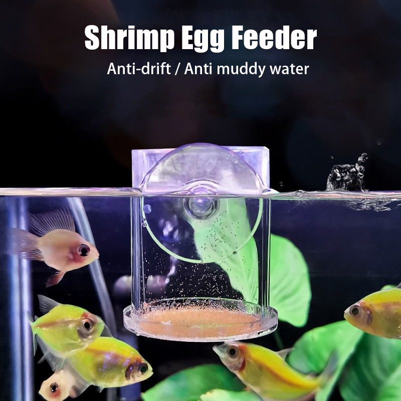 Transparent Arcylic Aquarium F - Aquarium Fish Holiday Food review and price