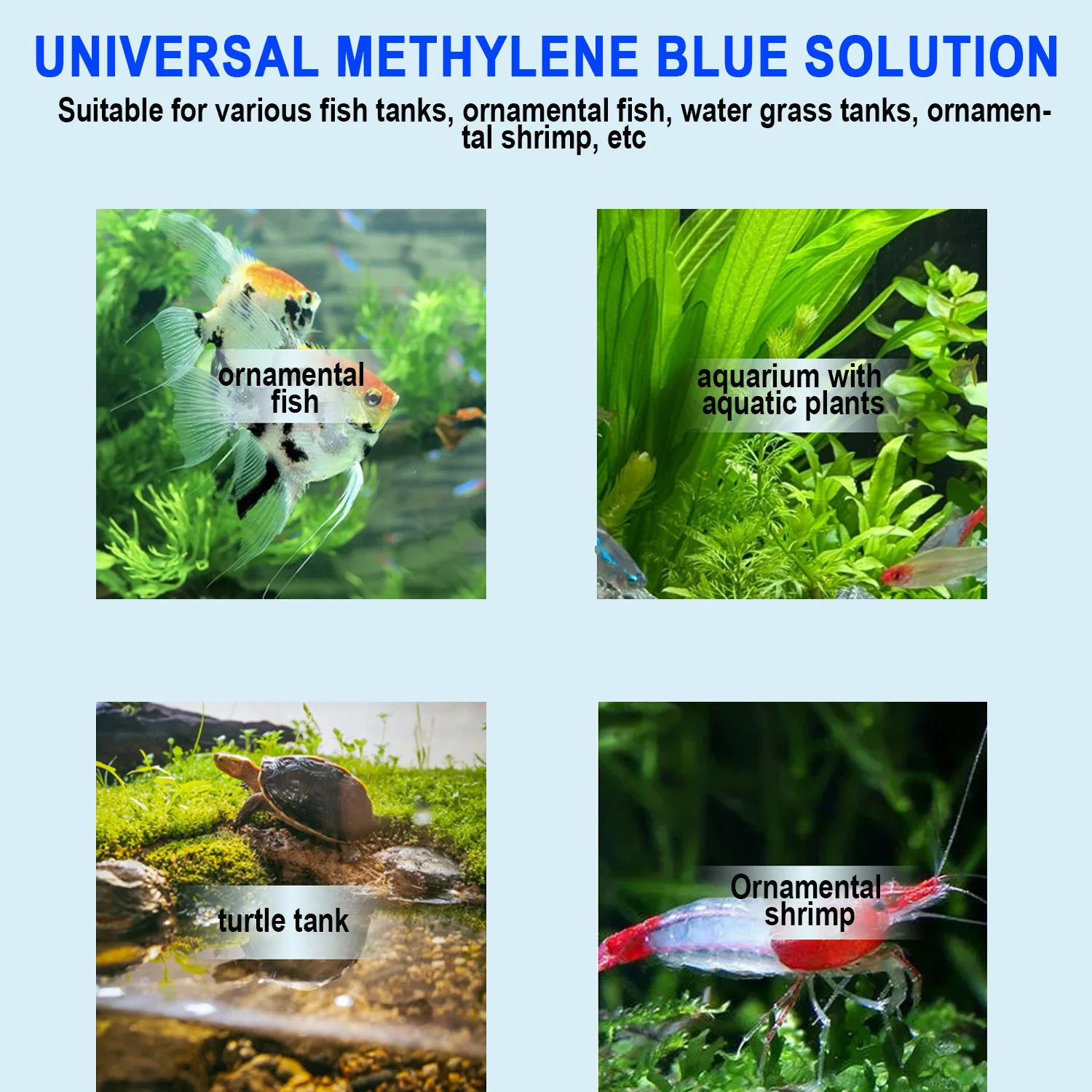Aquarium Methylene Blue Fish M - Aquarium Fish Parasites review and price