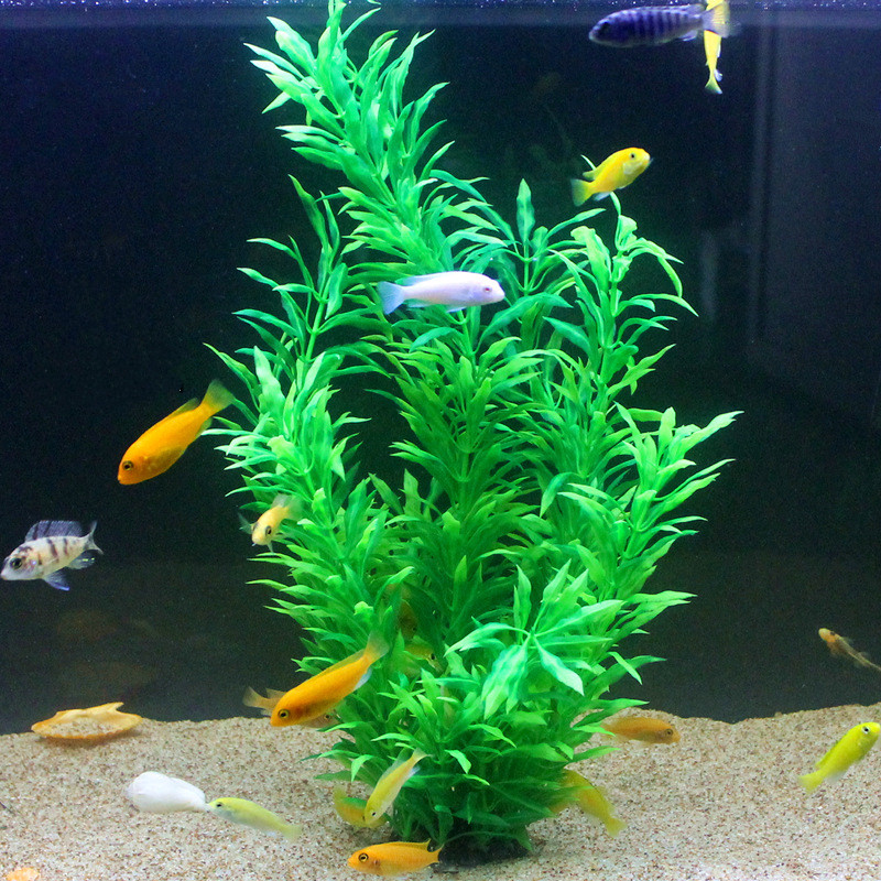 50CM Artificial Fish Tank Rare - Aquarium Fish Fishing review and price