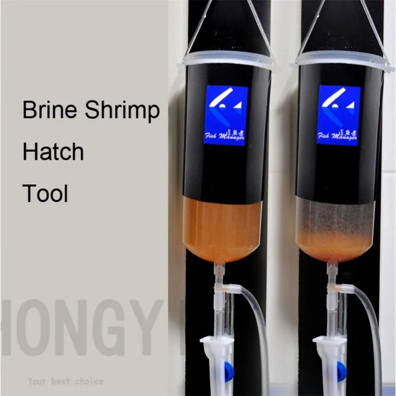 Fairy shrimp egg artemia alive - Aquarium Fish Holiday Food review and price