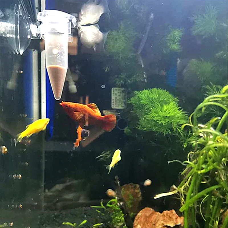 Automatic Fish Feeder Cone Shr - Aquarium Fish Auto Feeder review and price