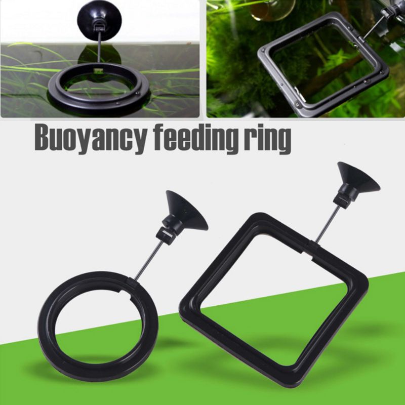 Aquarium Fish Feeding Ring Fis - Aquarium Fish Auto Feeder review and price