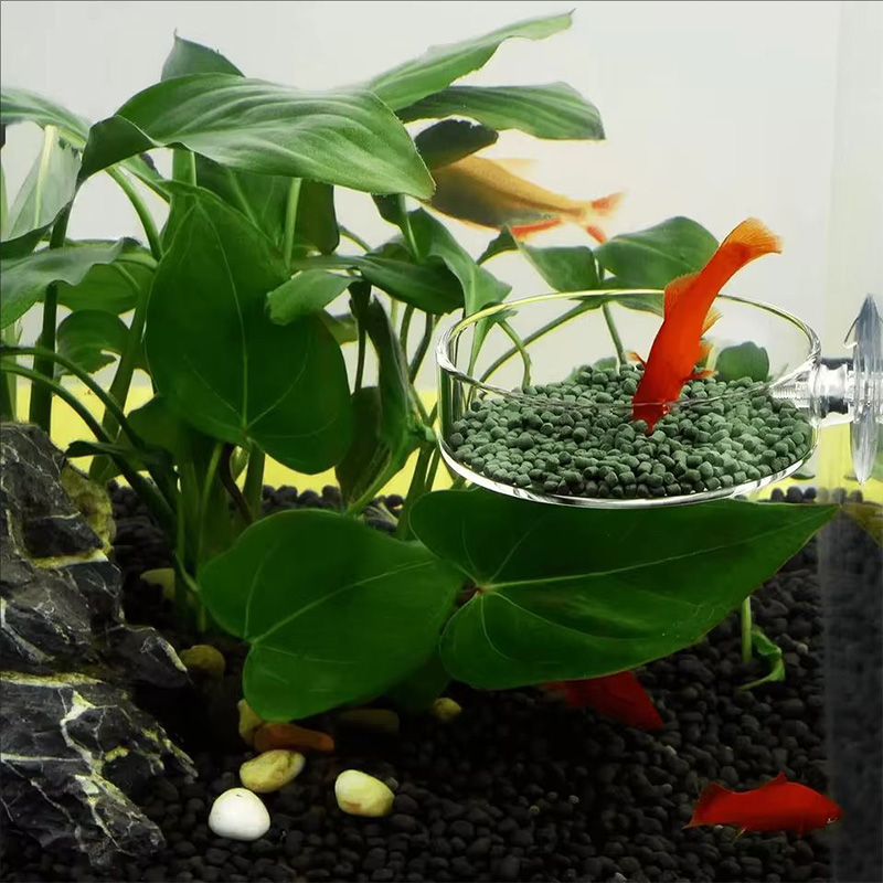 Transparent Acrylic Transparen - Aquarium Fish Holiday Food review and price