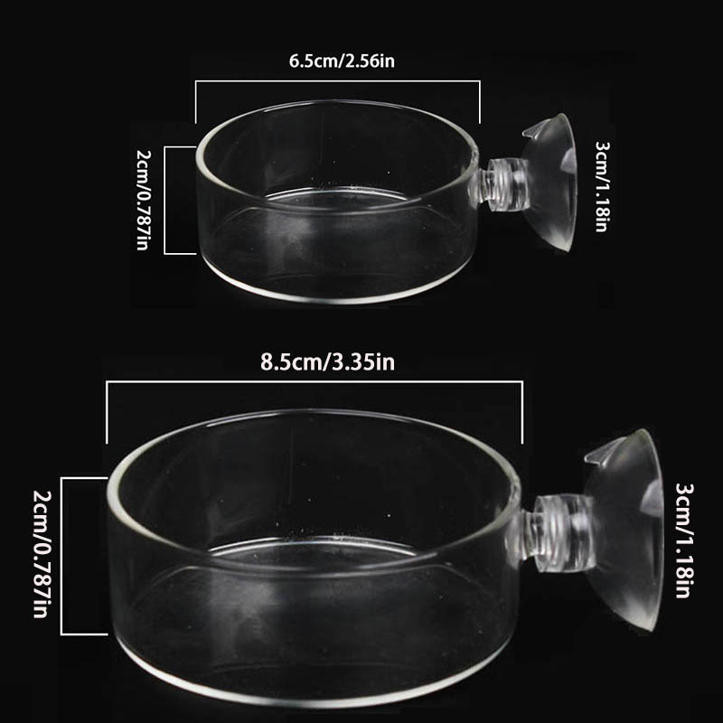 Transparent Acrylic Transparen - Aquarium Fish Holiday Food review and price