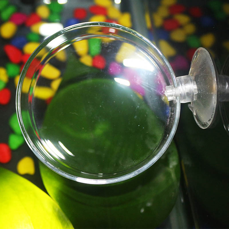 Transparent Acrylic Transparen - Aquarium Fish Holiday Food review and price